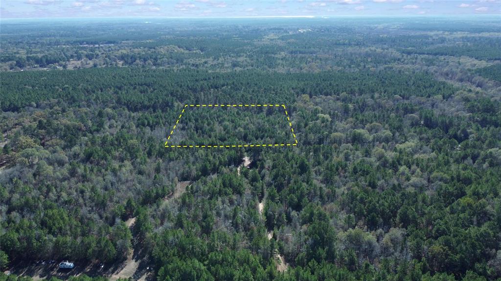 10739 Monterey School Road Vivian, LA 71082 - Photo 6 of 24 a view of a field of grass and trees