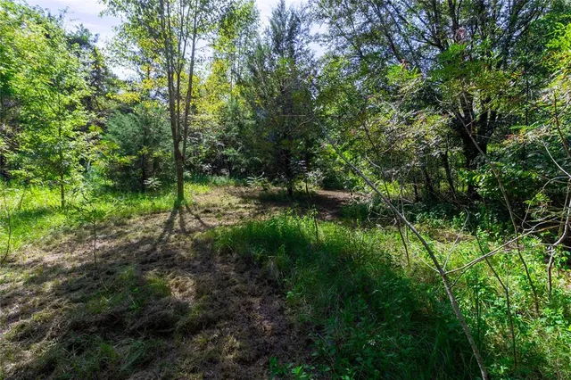 a view of backyard with green space