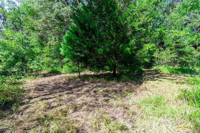 a view of outdoor space with trees