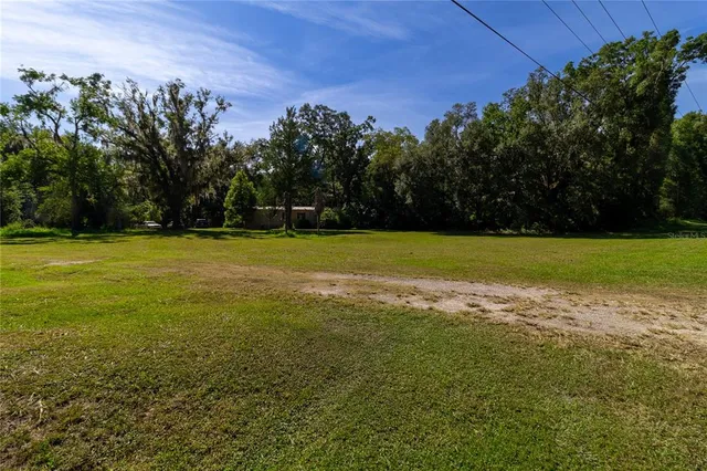 a view of a field with trees in the background