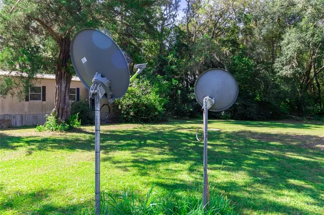 a view of a big yard with plants and large trees