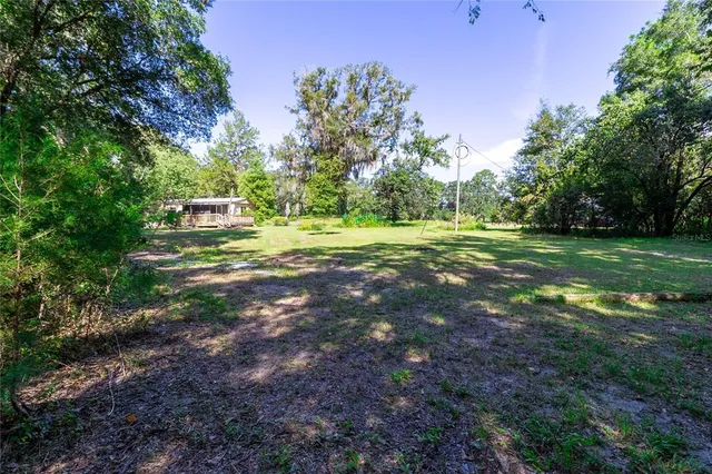 a view of a backyard with large trees and plants
