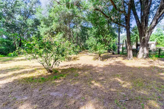 a view of a yard with a tree