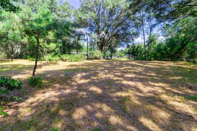 a view of outdoor space and yard