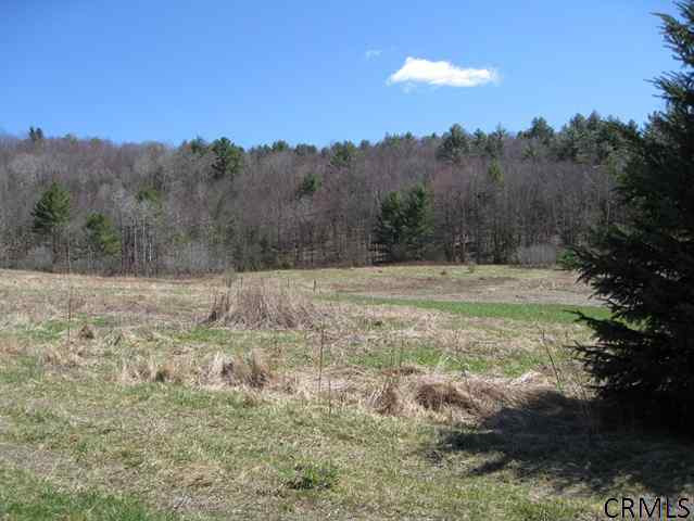 578 Keyserkill Road Middleburgh, NY 12122 - Photo 7 of 9 Photo 7