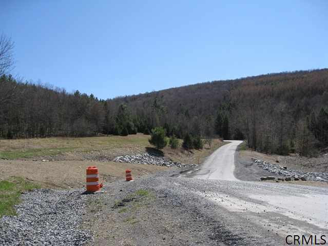 578 Keyserkill Road Middleburgh, NY 12122 - Photo 8 of 9 Photo 8