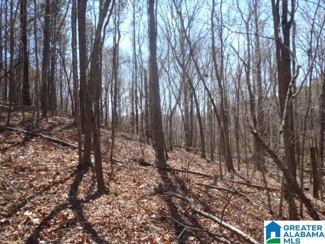 0 Shocco Springs Road, Unit 40 5 AC Talladega, AL 35160 - Photo 17 of 30