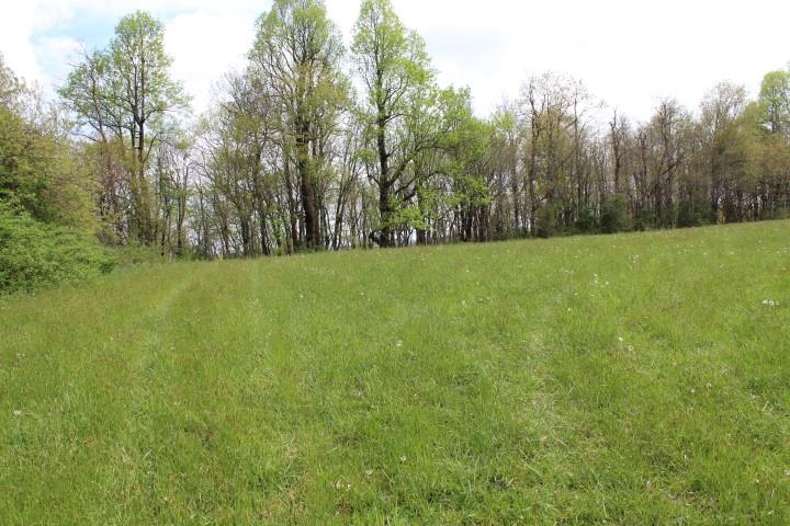 0 Cloudbreak Road Meadows Of Dan, VA 24120 - Photo 1 of 1 Gallery Image 1