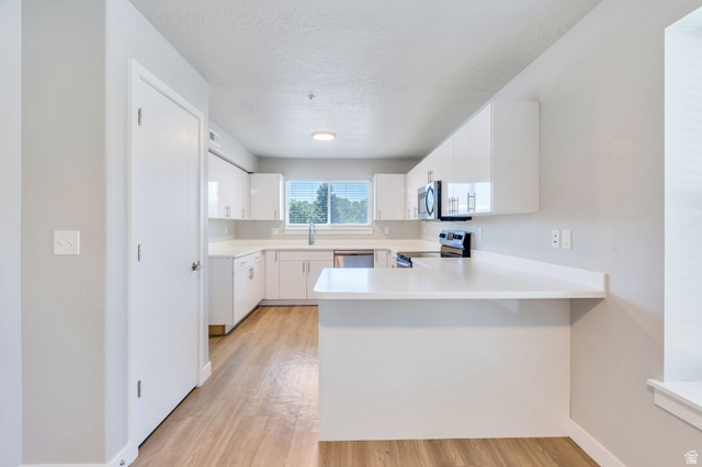 572 South 100 West, Unit E210 Springville, UT 84663 - Photo 13 of 35 Modern kitchen featuring white cabinetry, light countertops, stainless steel sink, built-in microwave, and wood-finish flooring