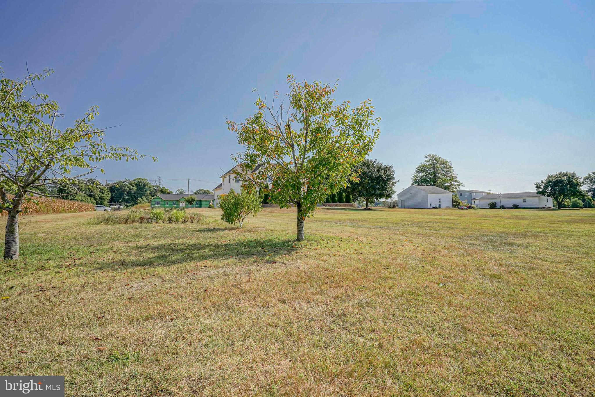 173 East Wolfert Station Road Mickleton, NJ 08056 - Photo 54 of 56 Cherry Trees & Garden