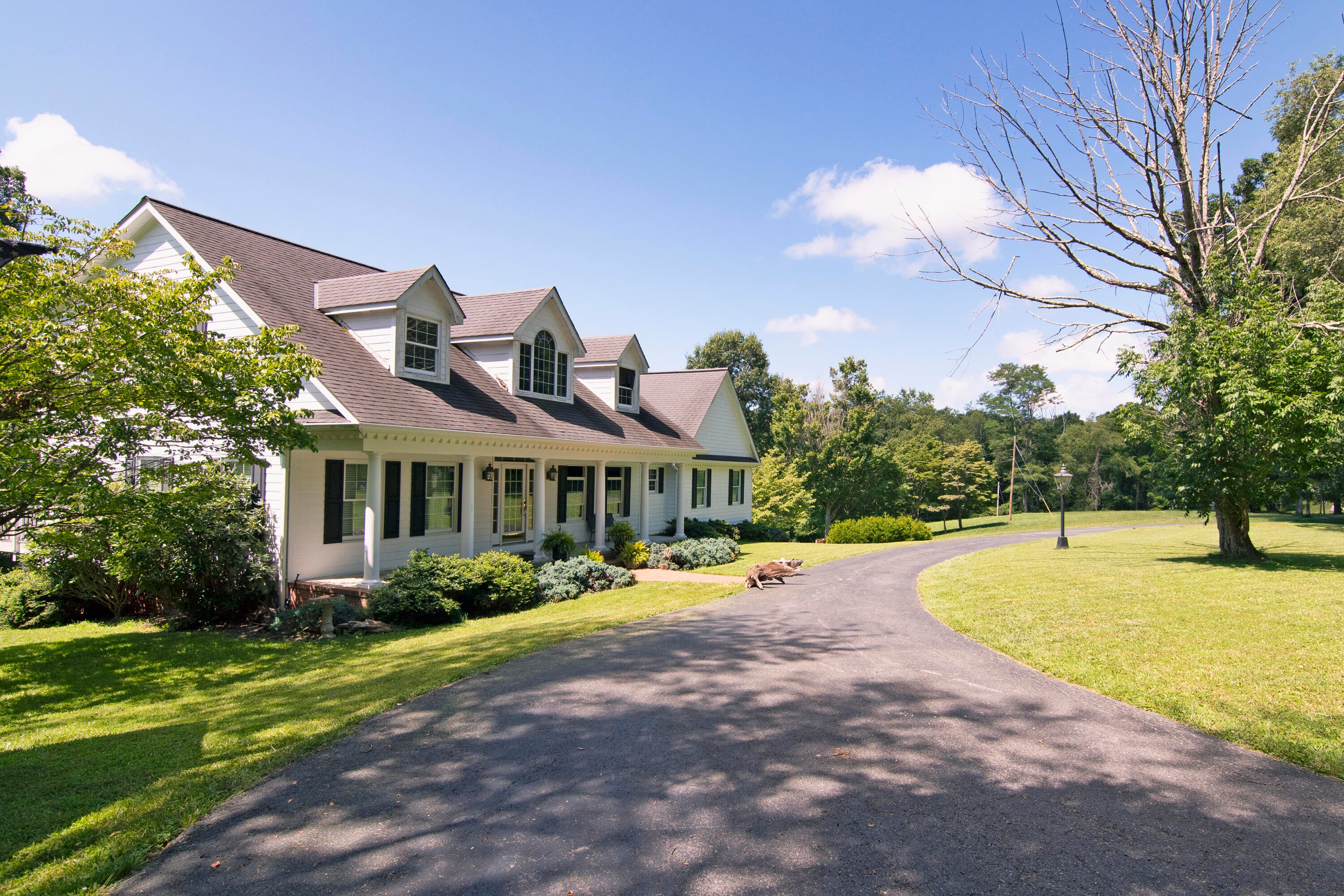 941 Chestnut Flats Road Williamsburg, WV 24991 - Photo 89 of 109 Gallery Image 89
