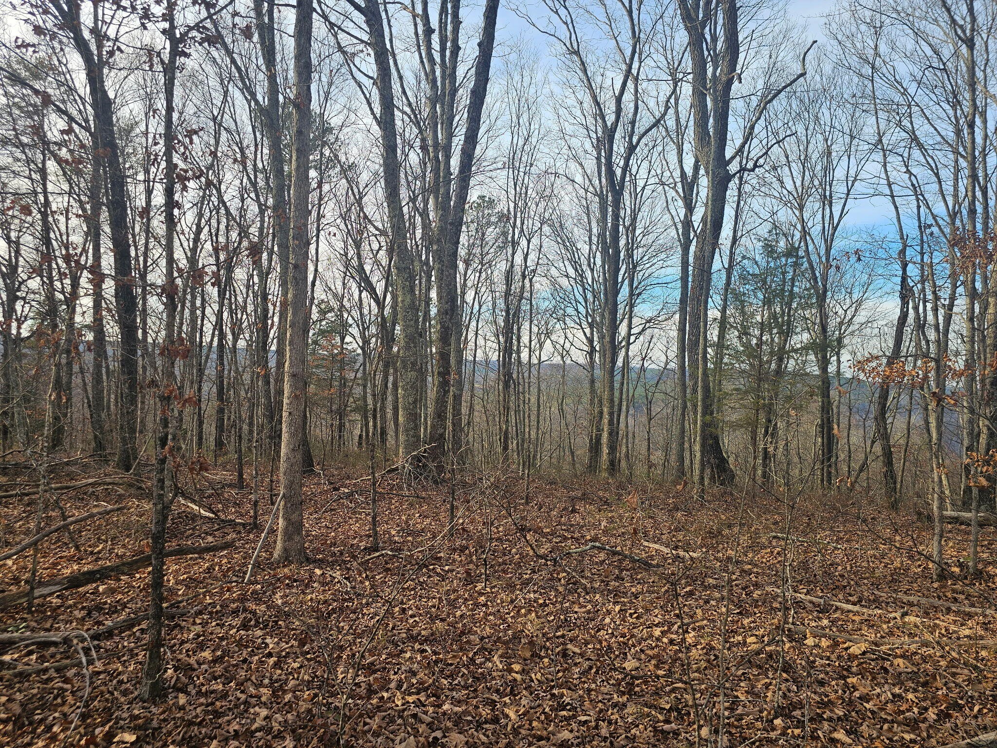 29003 Smith Mountain Road Dunlap, TN 37327 - Photo 8 of 43