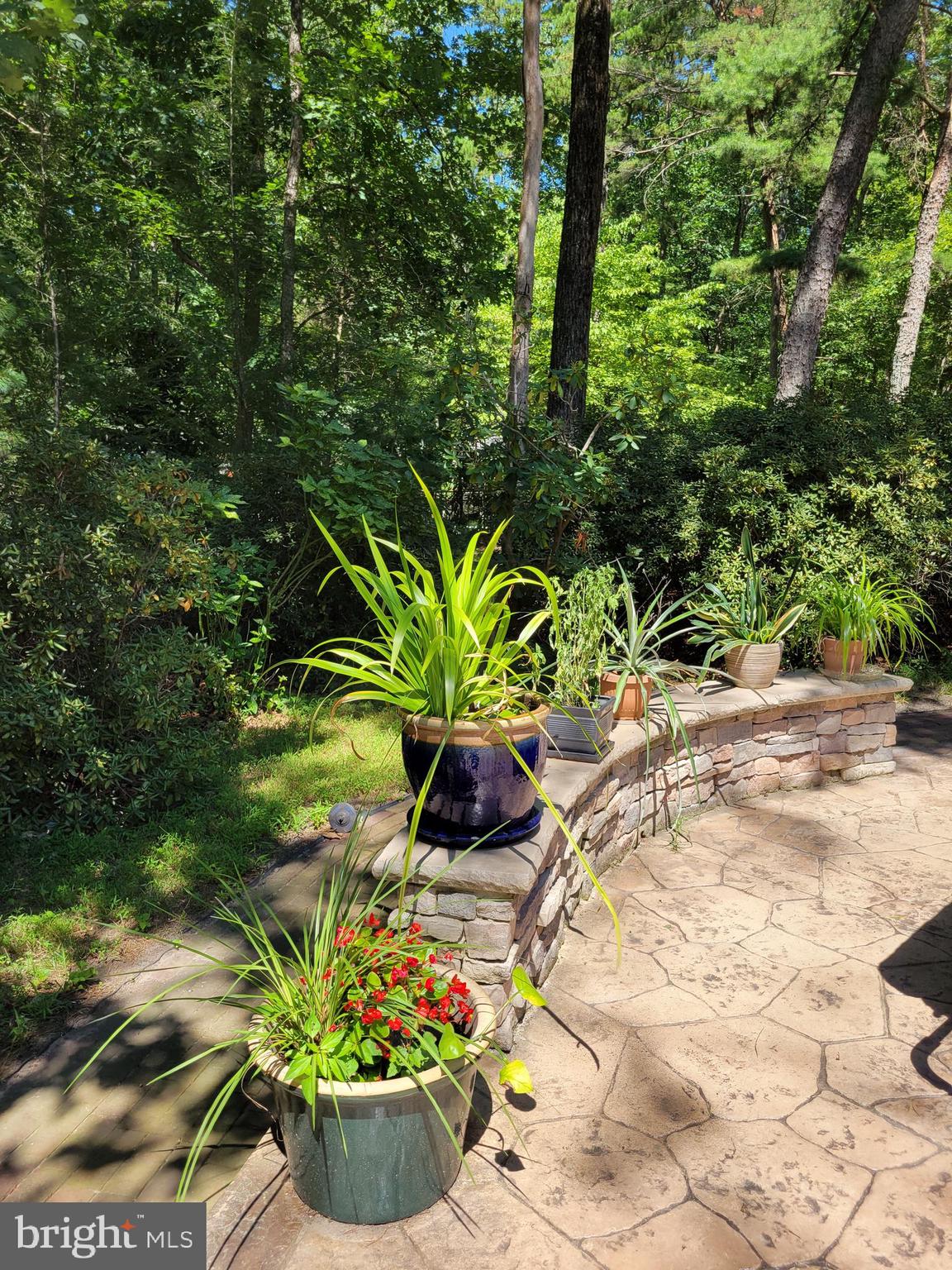 17 Bearhead Road Medford, NJ 08055 - Photo 38 of 64 Gallery Image 38