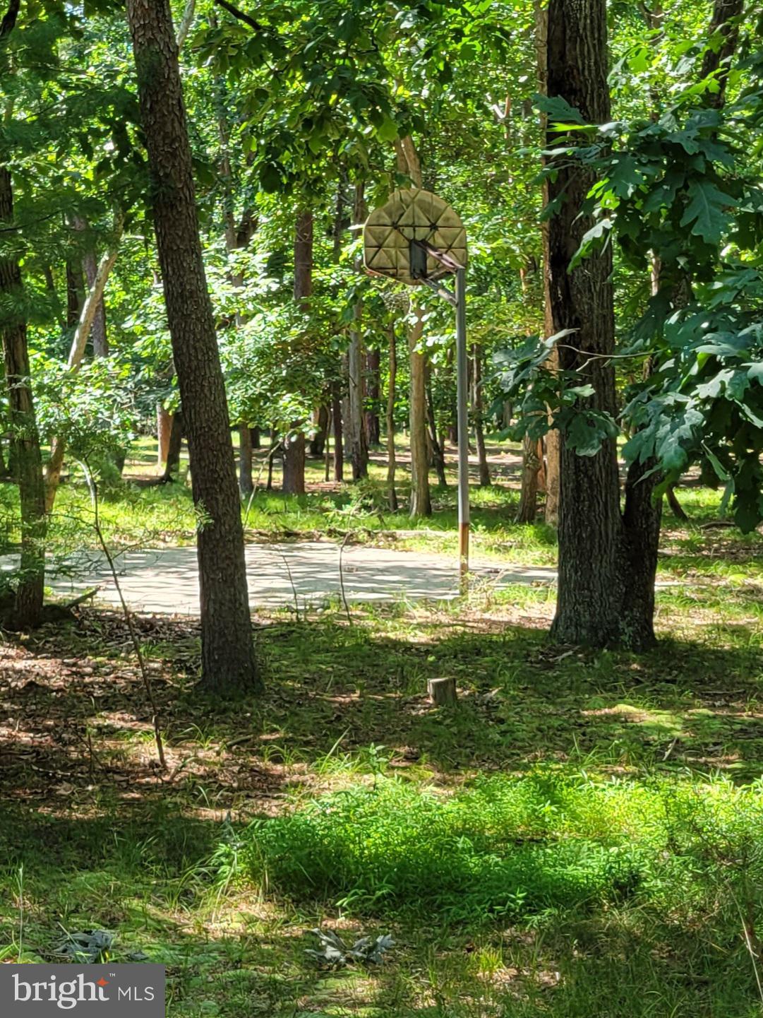 17 Bearhead Road Medford, NJ 08055 - Photo 50 of 64 Gallery Image 50