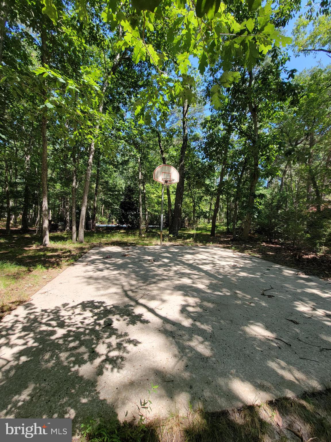 17 Bearhead Road Medford, NJ 08055 - Photo 55 of 64 Gallery Image 55