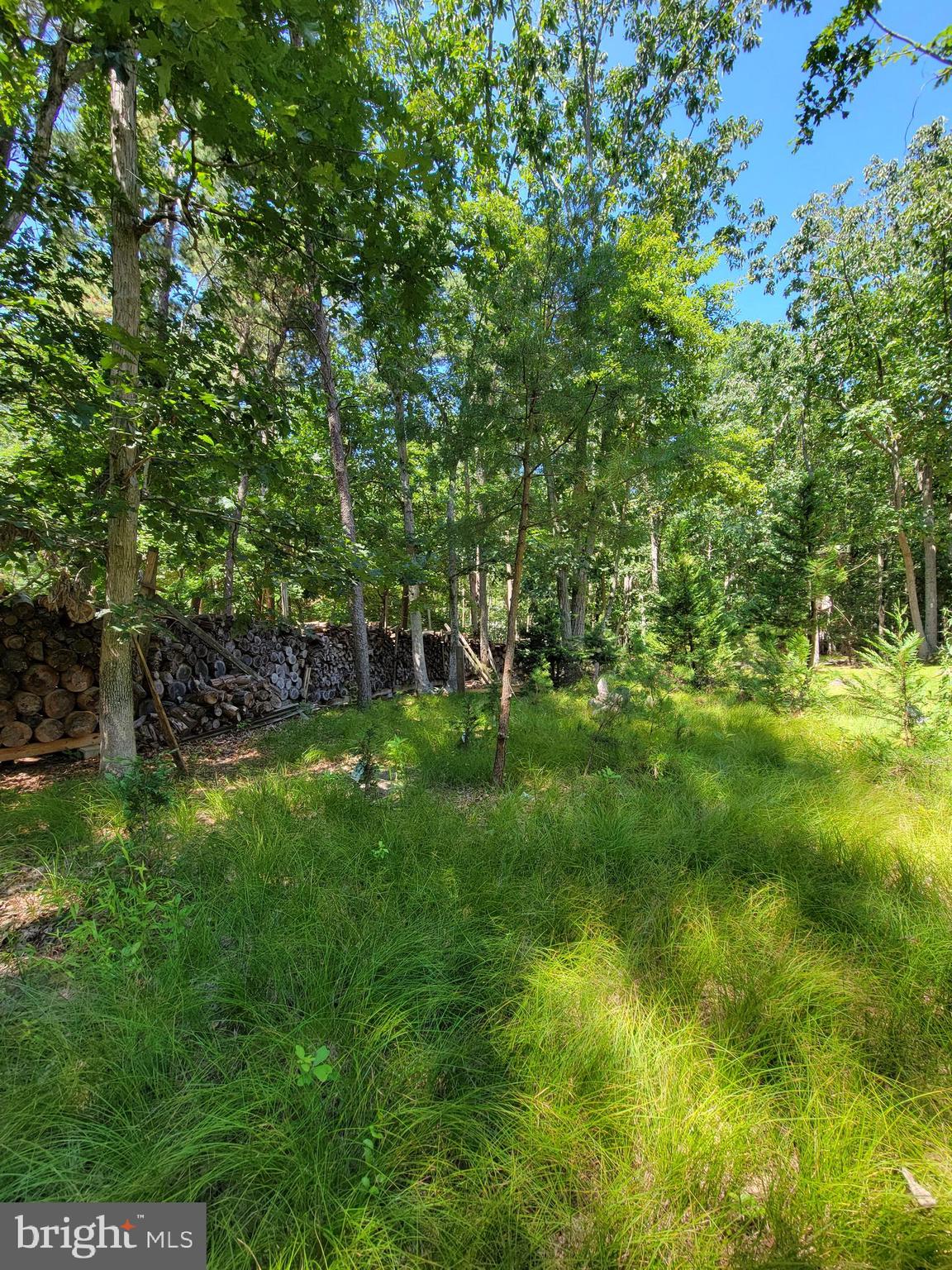 17 Bearhead Road Medford, NJ 08055 - Photo 56 of 64 Gallery Image 56