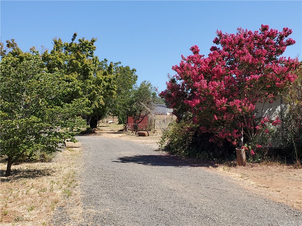 5154 Laurel Oak Road Paradise, CA 95969 - Photo 1 of 1 Gallery Image 1