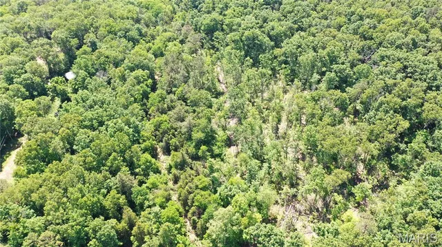 $45,000 | 1394 Parcel C) County Road 6580, Salem, MO 65560