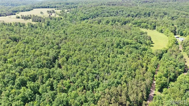 $45,000 | 1394 Parcel C) County Road 6580, Salem, MO 65560