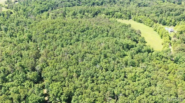 $45,000 | 1394 Parcel C) County Road 6580, Salem, MO 65560