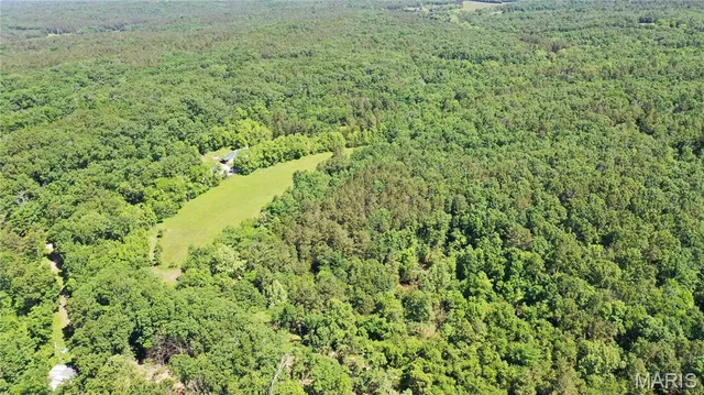 $45,000 | 1394 Parcel C) County Road 6580, Salem, MO 65560