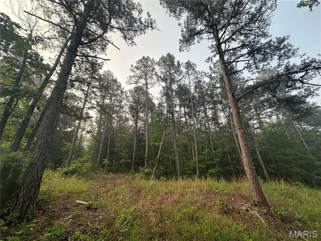 $45,000 | 1394 Parcel C) County Road 6580, Salem, MO 65560