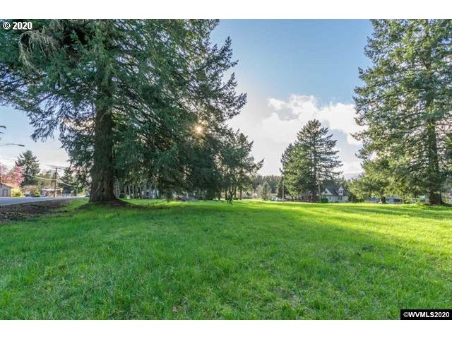 Waterloo Road Lebanon, OR 97355 - Photo 2 of 30 Gallery Image 2