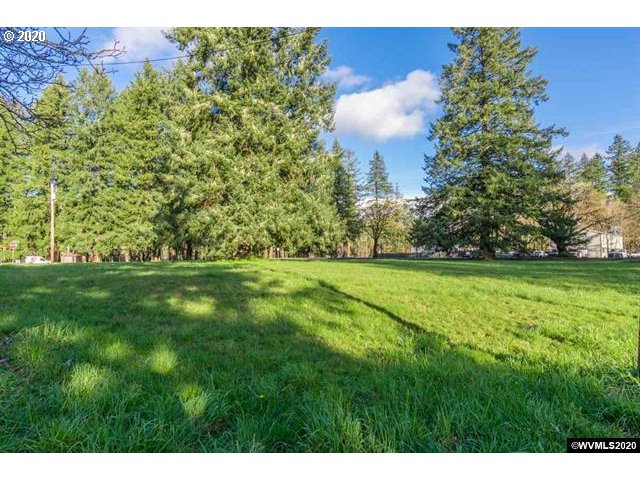 Waterloo Road Lebanon, OR 97355 - Photo 3 of 30 Gallery Image 3