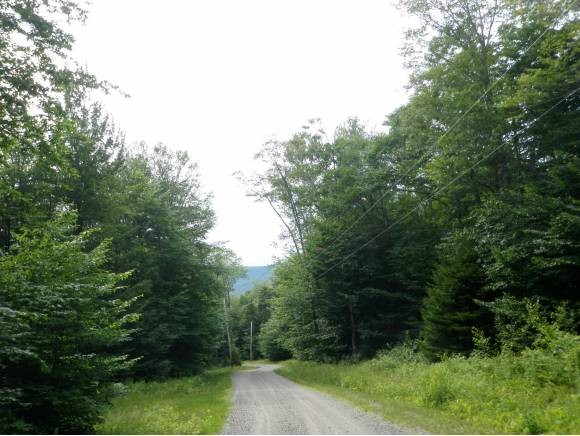 0 Russet Hill Road Landgrove, VT 05148 - Photo 1 of 1