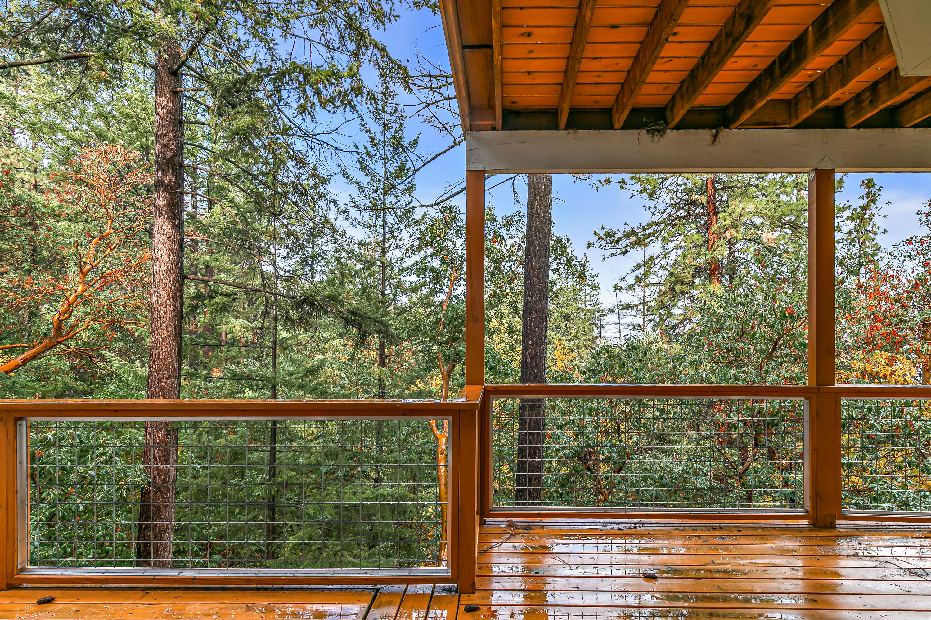 461 Waterline Road Ashland, OR 97520 - Photo 29 of 34 9R9A8509