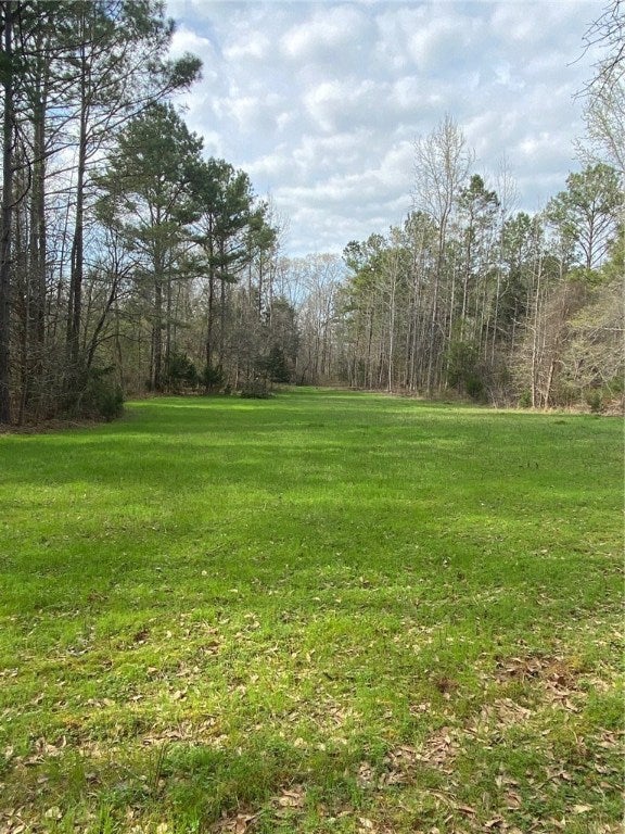 0 Milltown Road Camp Hill, AL 36850 - Photo 2 of 12 Gallery Image 2