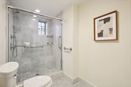 a bathroom with a shower and toilet