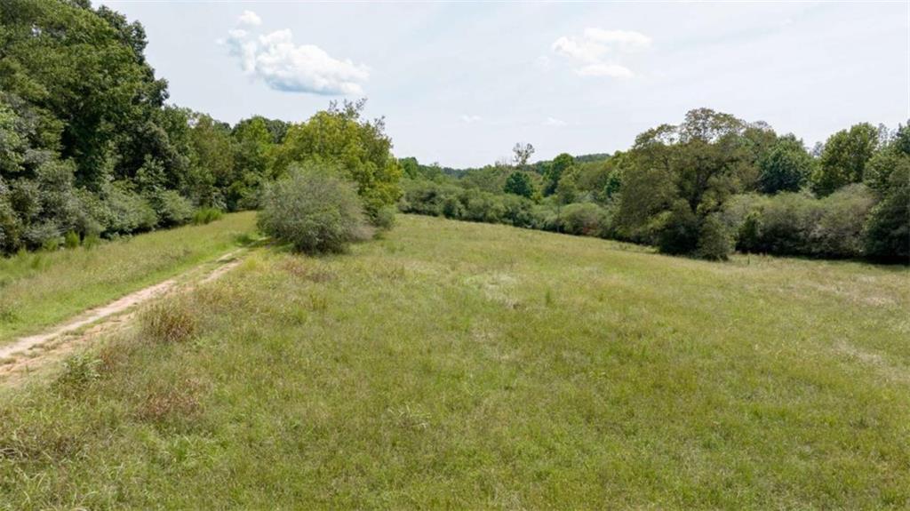 0 Caudell Drive Lula, GA 30554 - Photo 11 of 38 a big yard with lots of green space