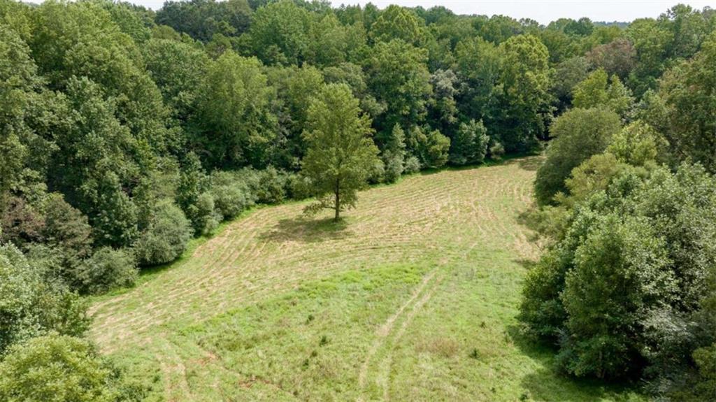 0 Caudell Drive Lula, GA 30554 - Photo 15 of 38 a view of a yard with a tree