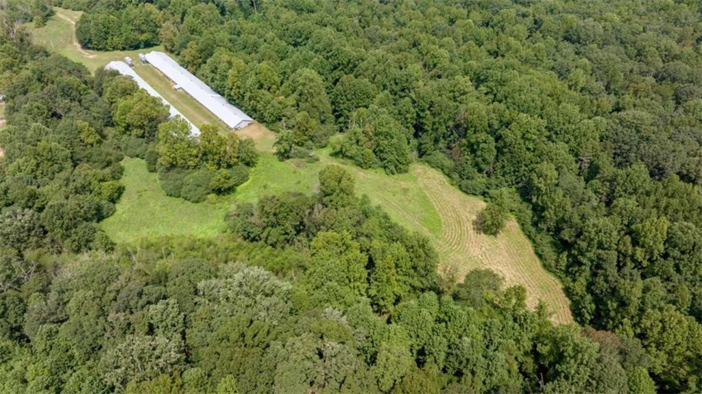 0 Caudell Drive Lula, GA 30554 - Photo 18 of 38 a view of a lush green forest with lots of trees