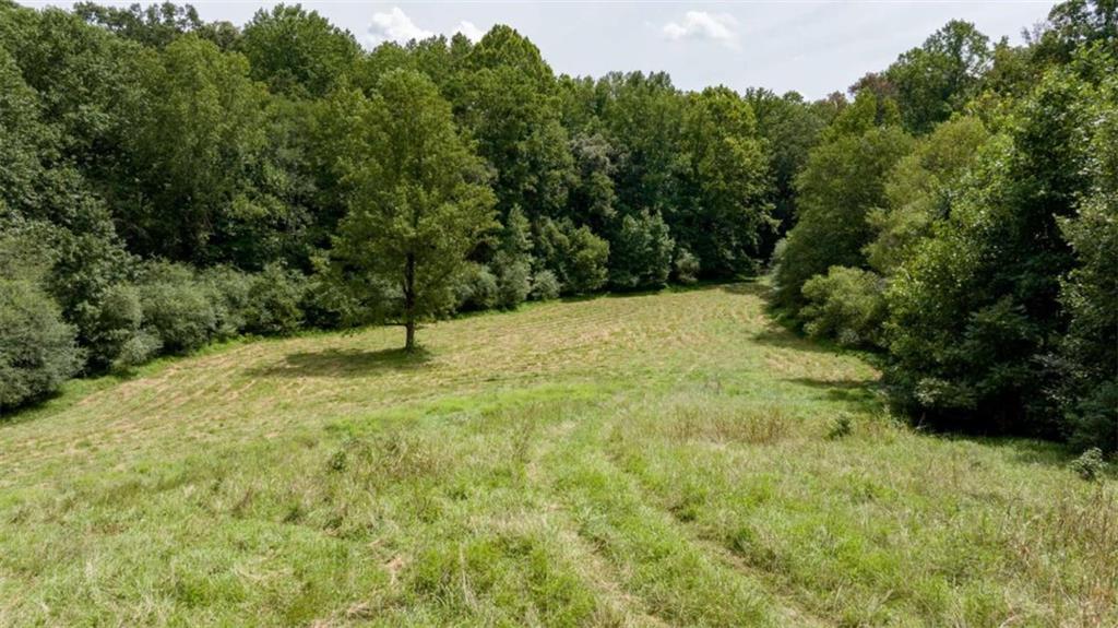 0 Caudell Drive Lula, GA 30554 - Photo 23 of 38 a view of outdoor space and yard