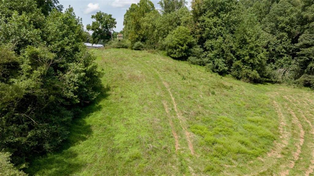 0 Caudell Drive Lula, GA 30554 - Photo 24 of 38 a view of a yard with plants and large trees