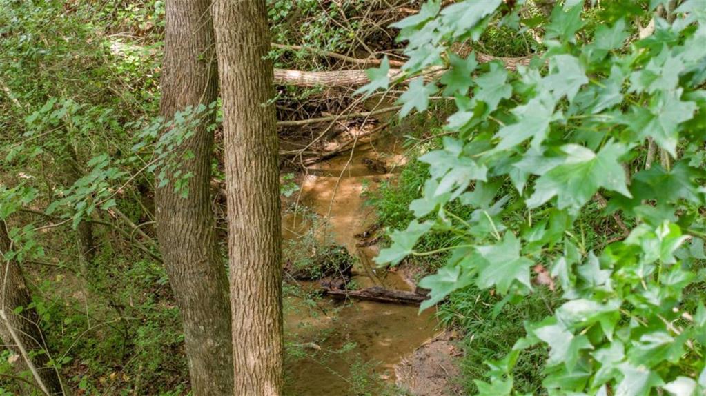 0 Caudell Drive Lula, GA 30554 - Photo 25 of 38