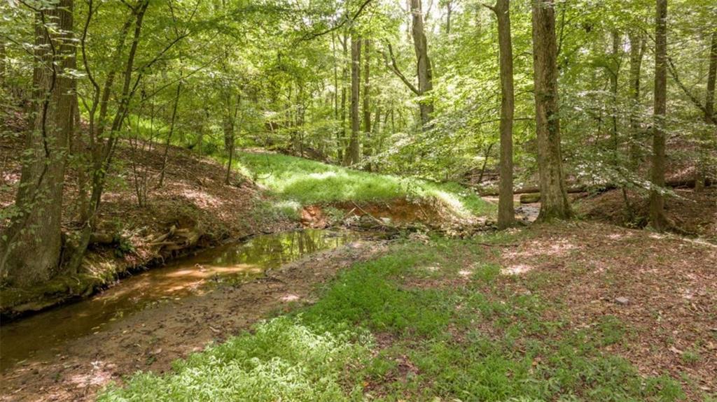 0 Caudell Drive Lula, GA 30554 - Photo 26 of 38 a view of a yard with plants and large trees