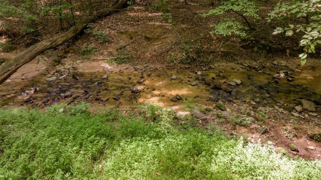 0 Caudell Drive Lula, GA 30554 - Photo 29 of 38 a view of a yard