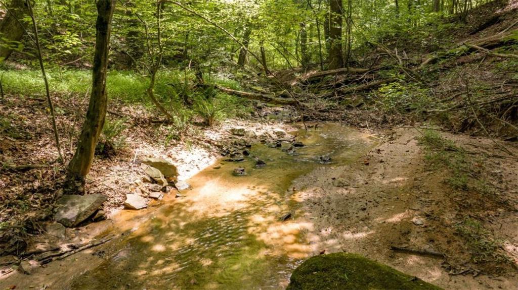 0 Caudell Drive Lula, GA 30554 - Photo 30 of 38 a view of a tree in a yard