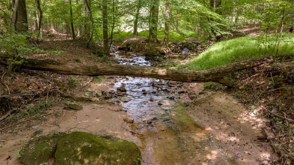 0 Caudell Drive Lula, GA 30554 - Photo 31 of 38 a view of a yard with large trees