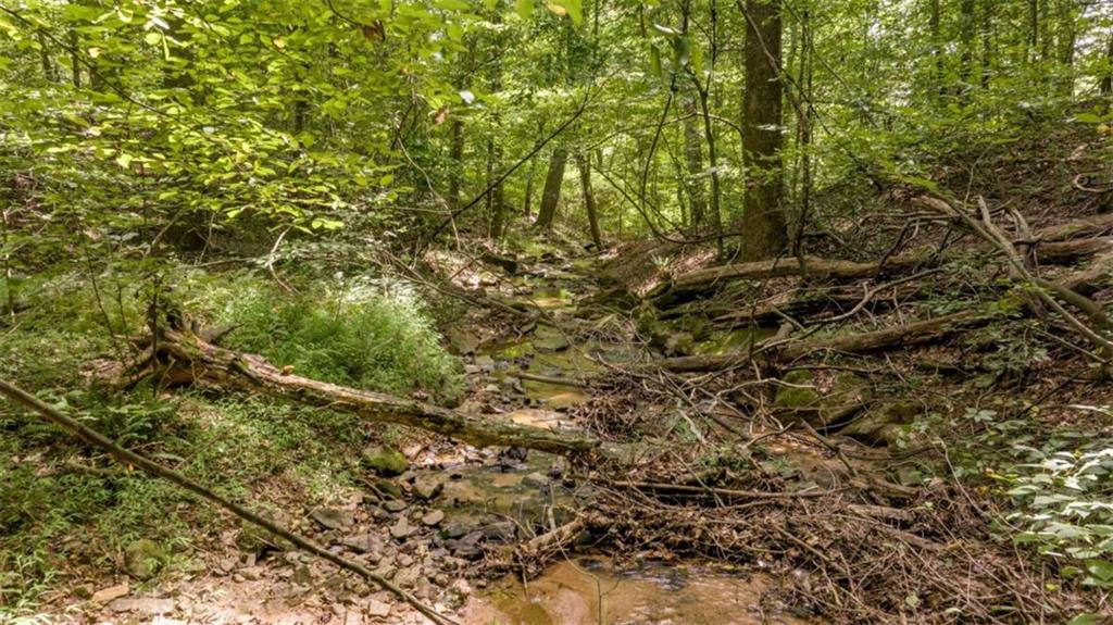 0 Caudell Drive Lula, GA 30554 - Photo 32 of 38 a view of a lush green forest