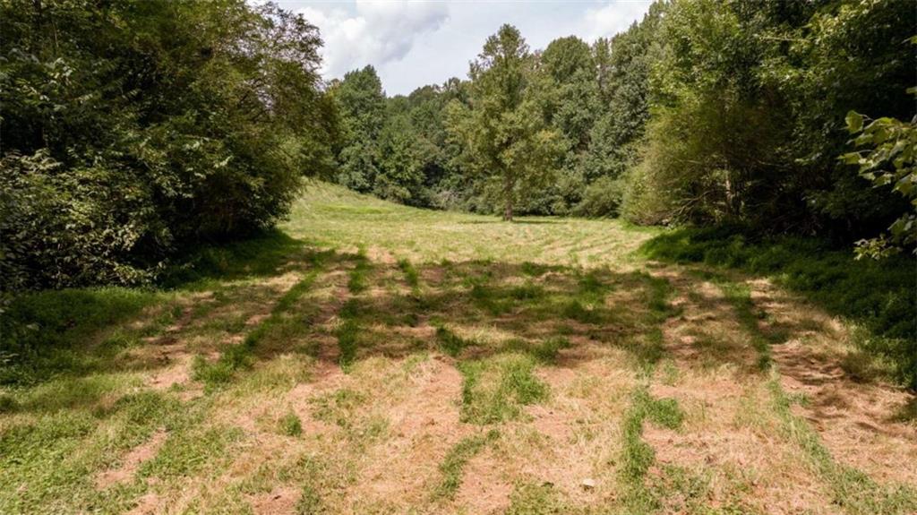 0 Caudell Drive Lula, GA 30554 - Photo 35 of 38 a view of yard