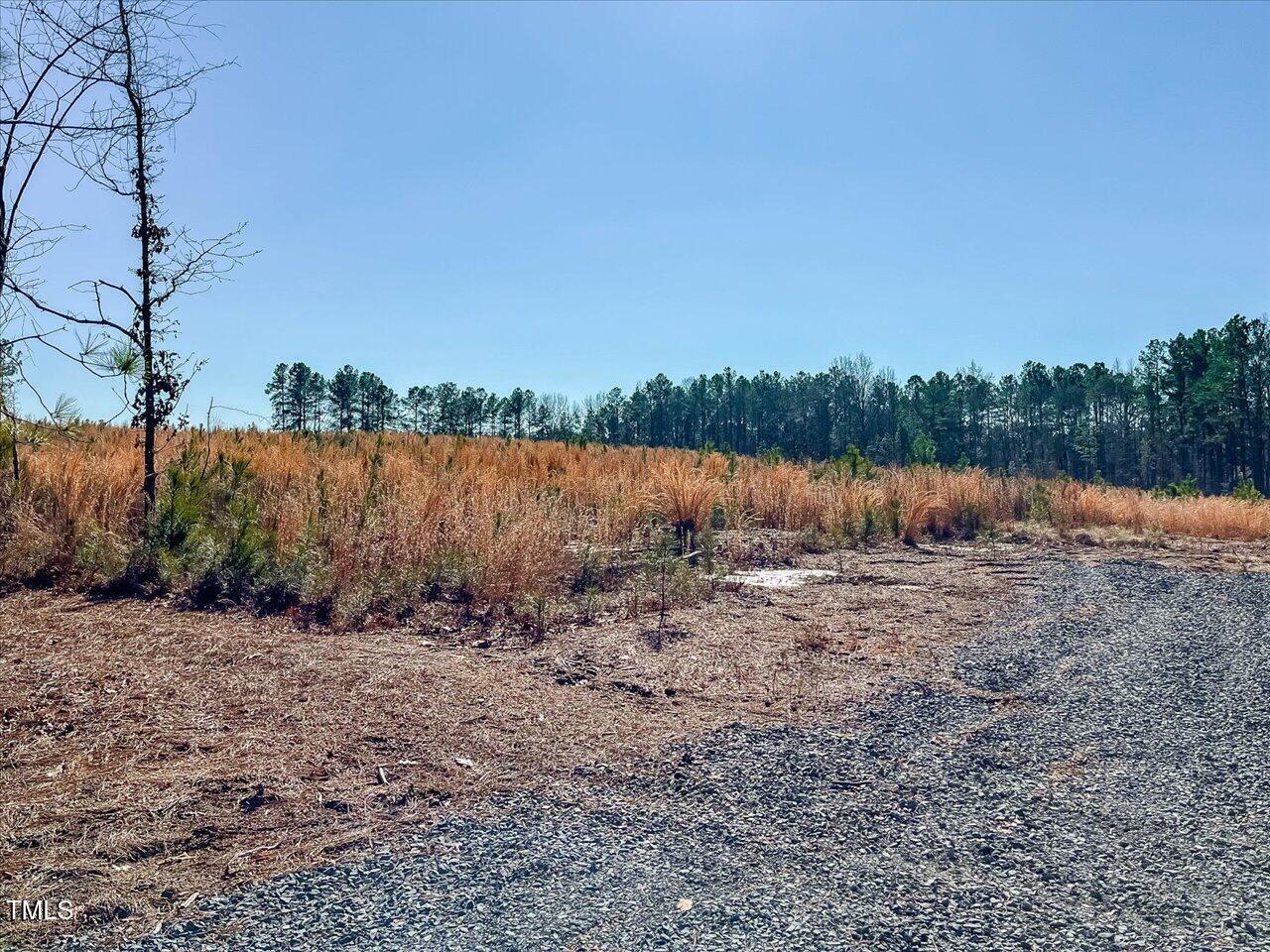 3 Robedo Rd Mount Mount Gilead, NC 27306 - Photo 14 of 24 18-018-Tract3-RobedoRd-MontgomeryCounty-