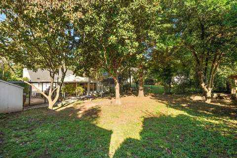 a view of yard with tree s