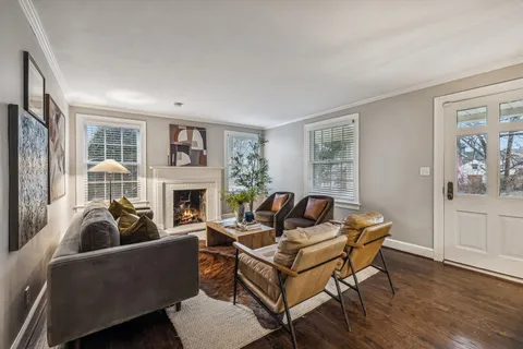 a living room with furniture and a potted plant
