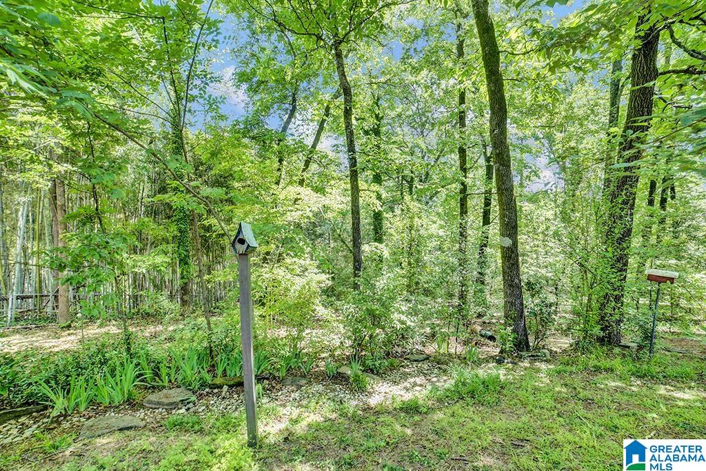 1321 Southhall Road Birmingham, AL 35213 - Photo 22 of 23