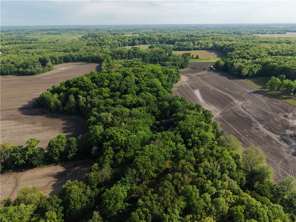 8659 North 1000th Road Effingham, IL 62401 - Photo 41 of 41