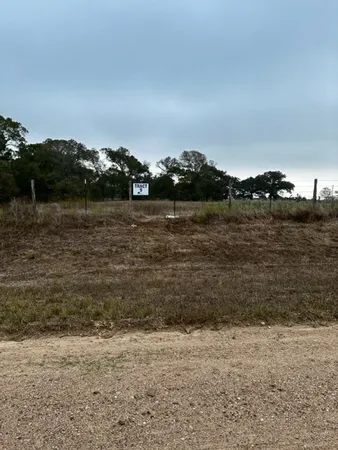 a view of a yard